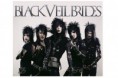 /album/galeria-de-fotos/blackveilbrides-jpg/